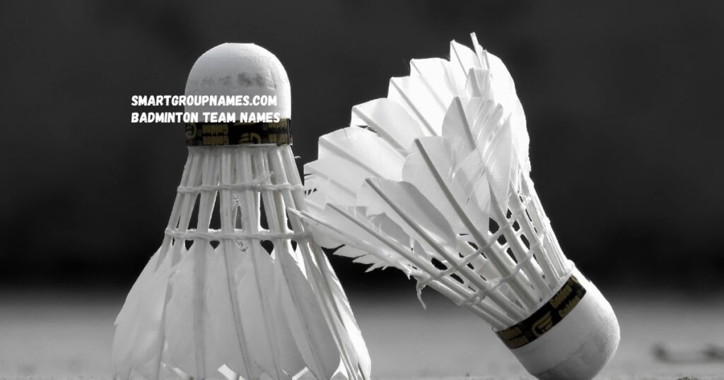 Badminton Team Names