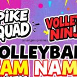 Volleyball Team Names