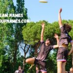 disc team naems