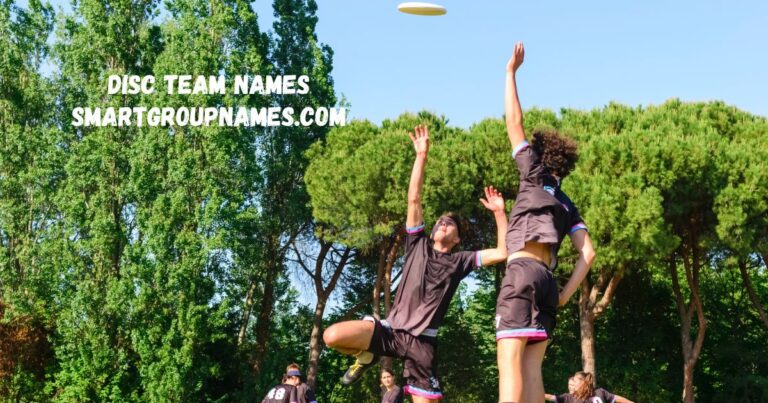 disc team naems