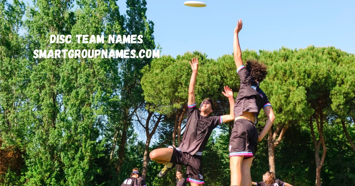 disc team naems