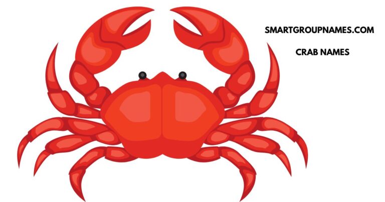 CRAB NAMES
