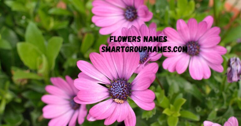 Flowers Names