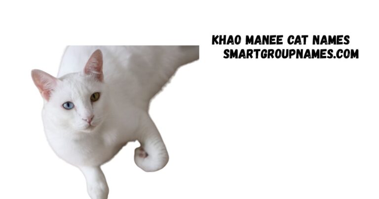 Khao Manee Cat Names