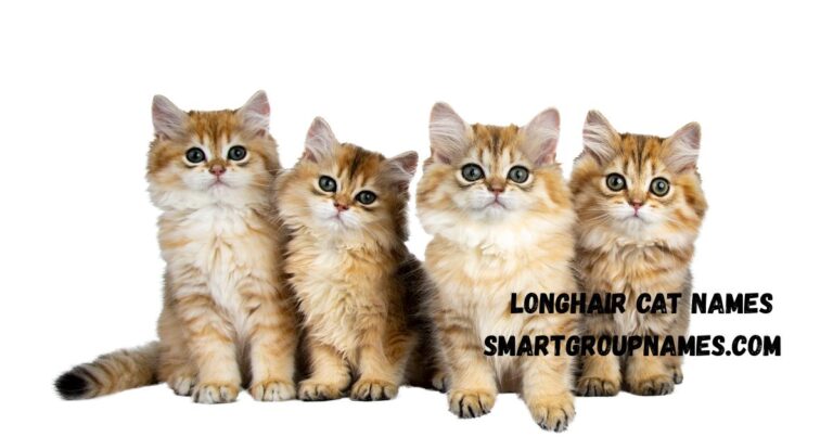 Longhair cat names