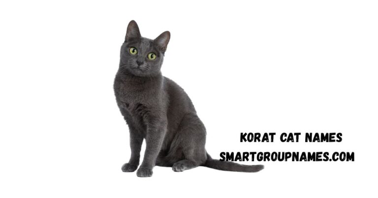 Korat Cat Names