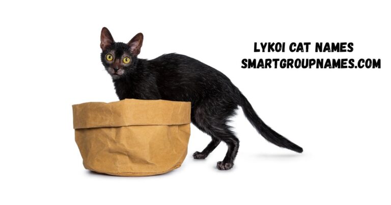 Lykoi Cat Names