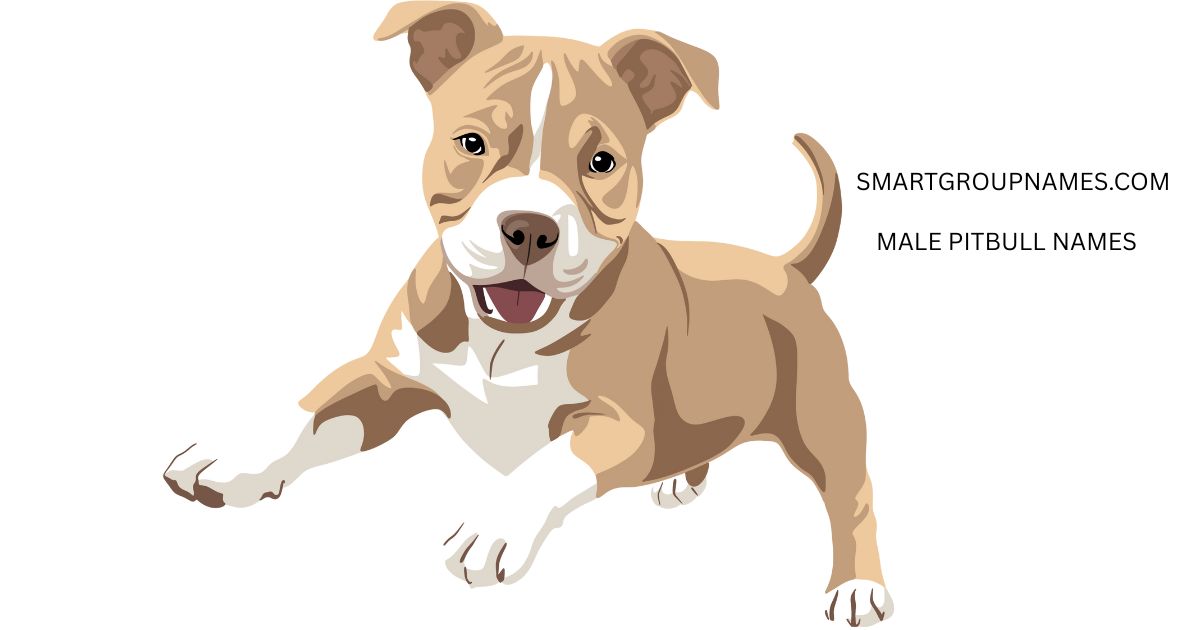 MALE PITBULL NAMES