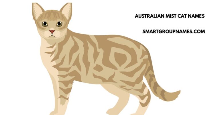 AUSTRALIAN MIST CAT NAMES