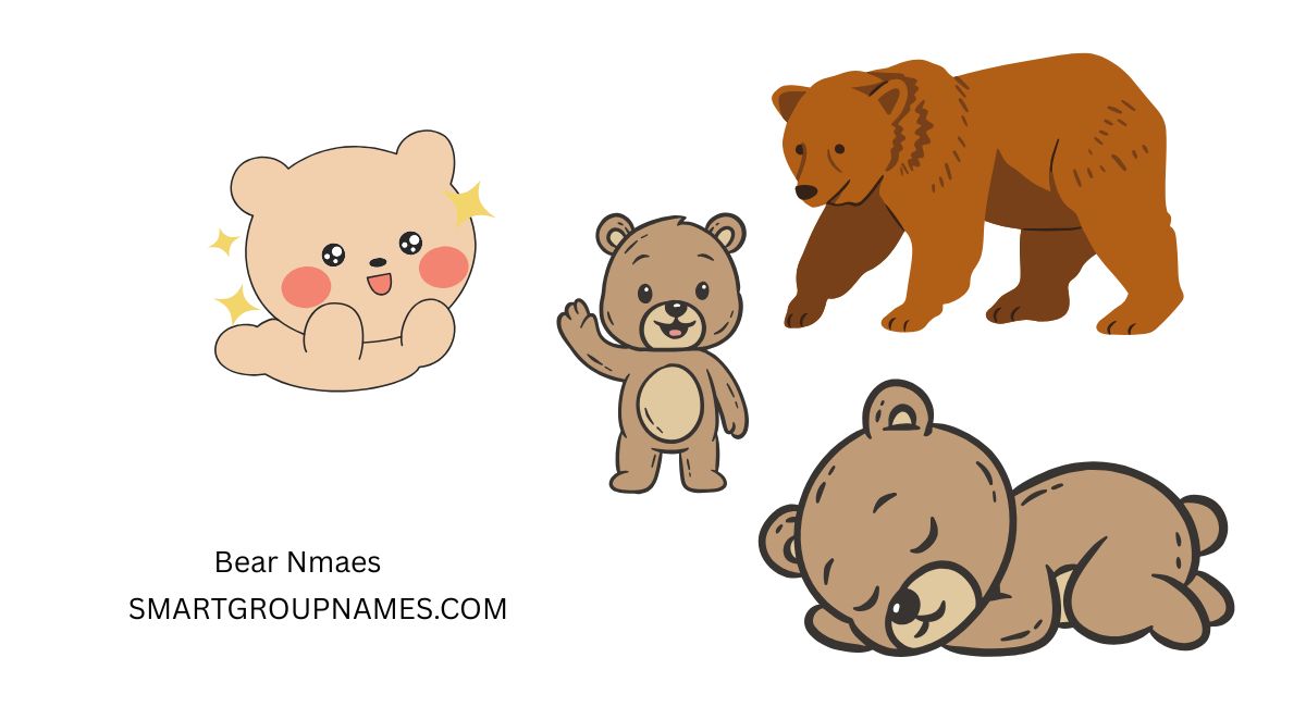 Bear Nmaes
