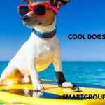 COOL DOGS NAMES