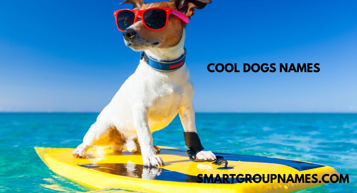 COOL DOGS NAMES