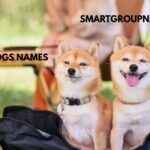 CREATIVE DOGS NAMES