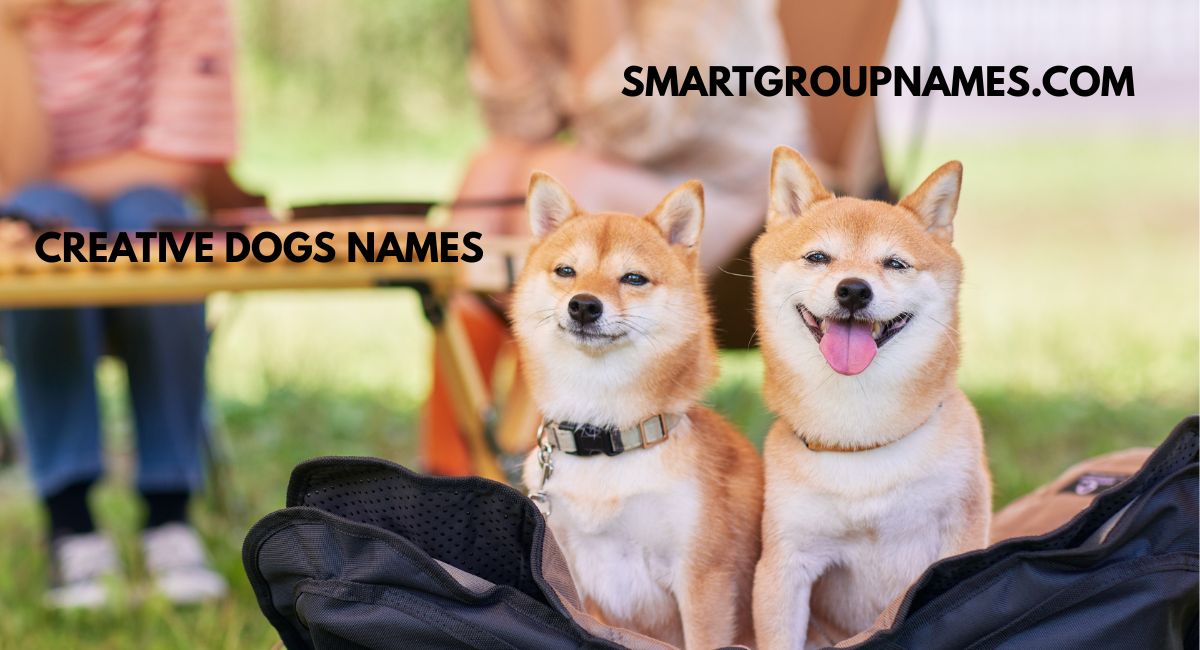 CREATIVE DOGS NAMES