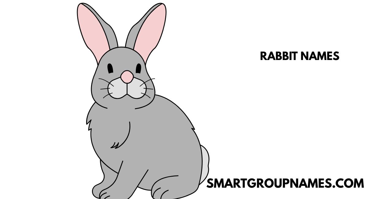 RABBIT NAMES