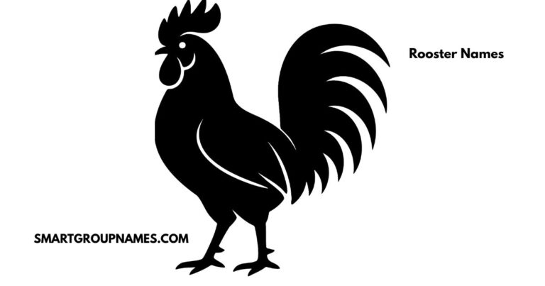 Rooster Names