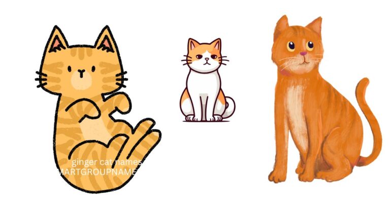 ginger cat names