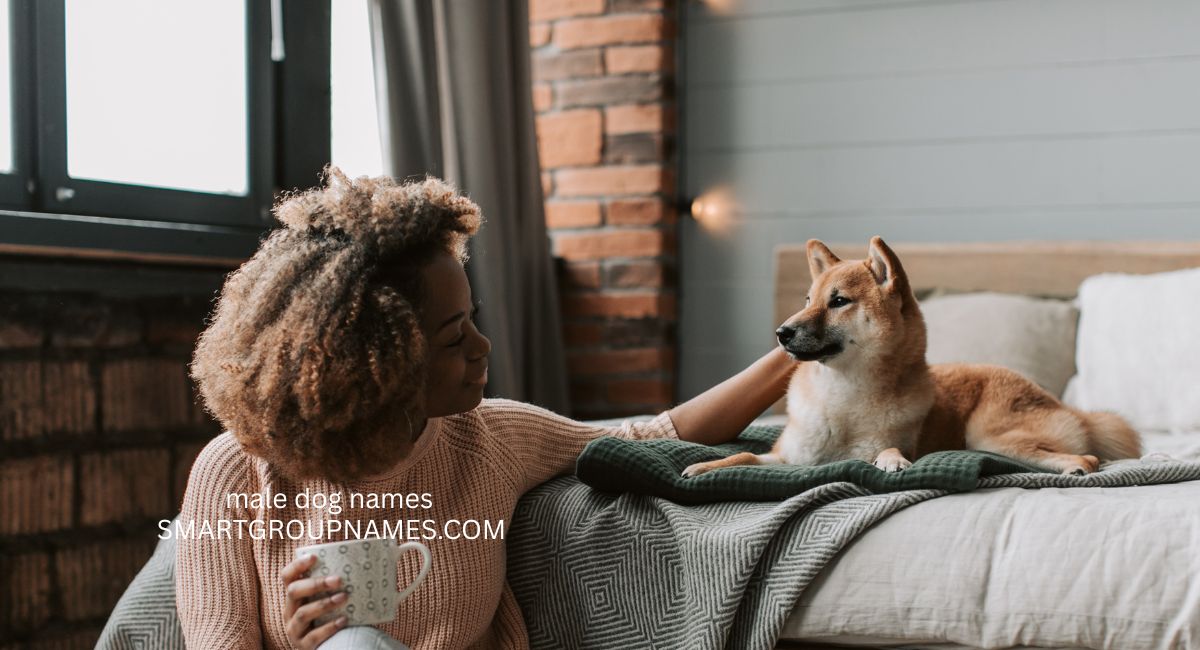 male dog names