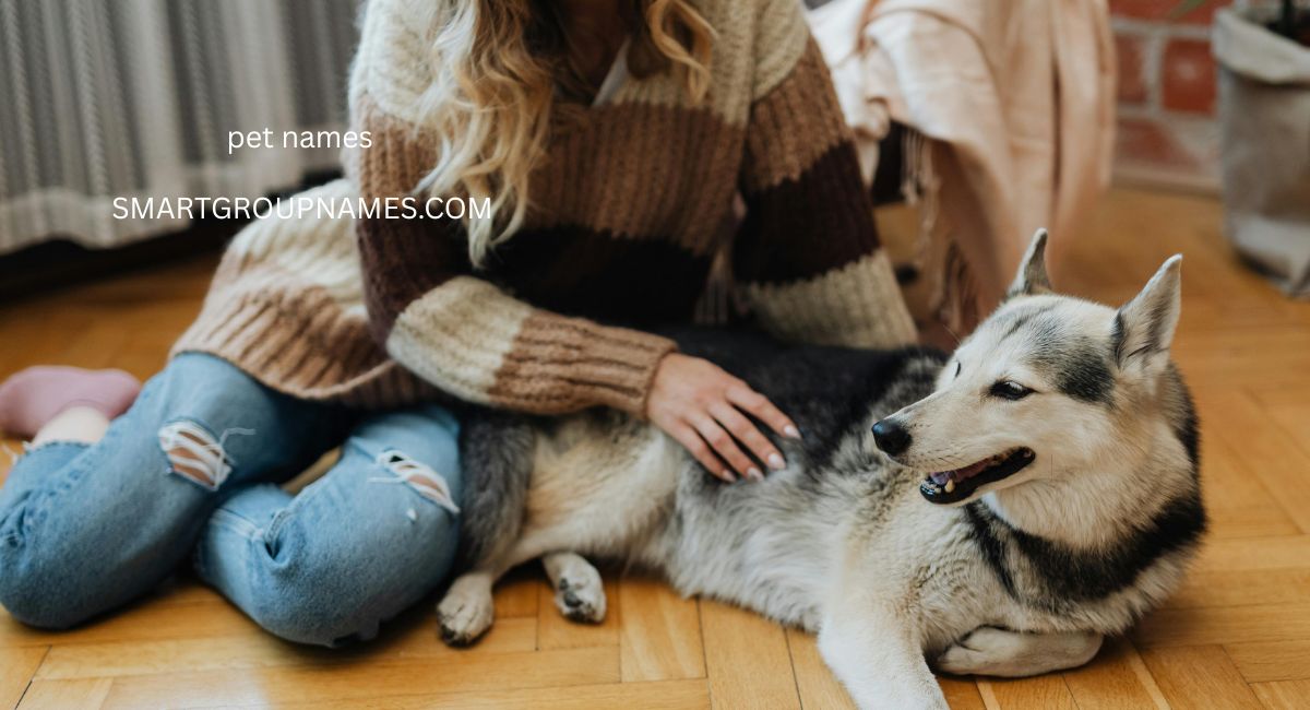 pet names